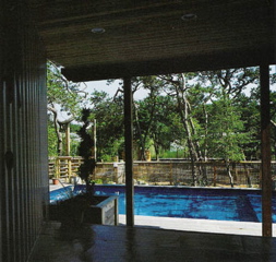 Pool from front entry